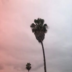 Meet your Posher, George